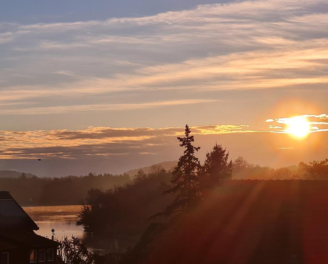 Ferienwohnung Rheinblick In Buesingen -Keine Monteure- Busingen 외부 사진