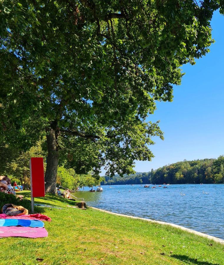 Ferienwohnung Rheinblick In Buesingen -Keine Monteure- Busingen 외부 사진