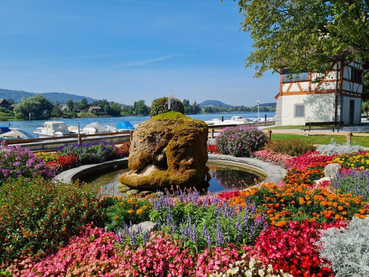 Ferienwohnung Rheinblick In Buesingen -Keine Monteure- Busingen 외부 사진