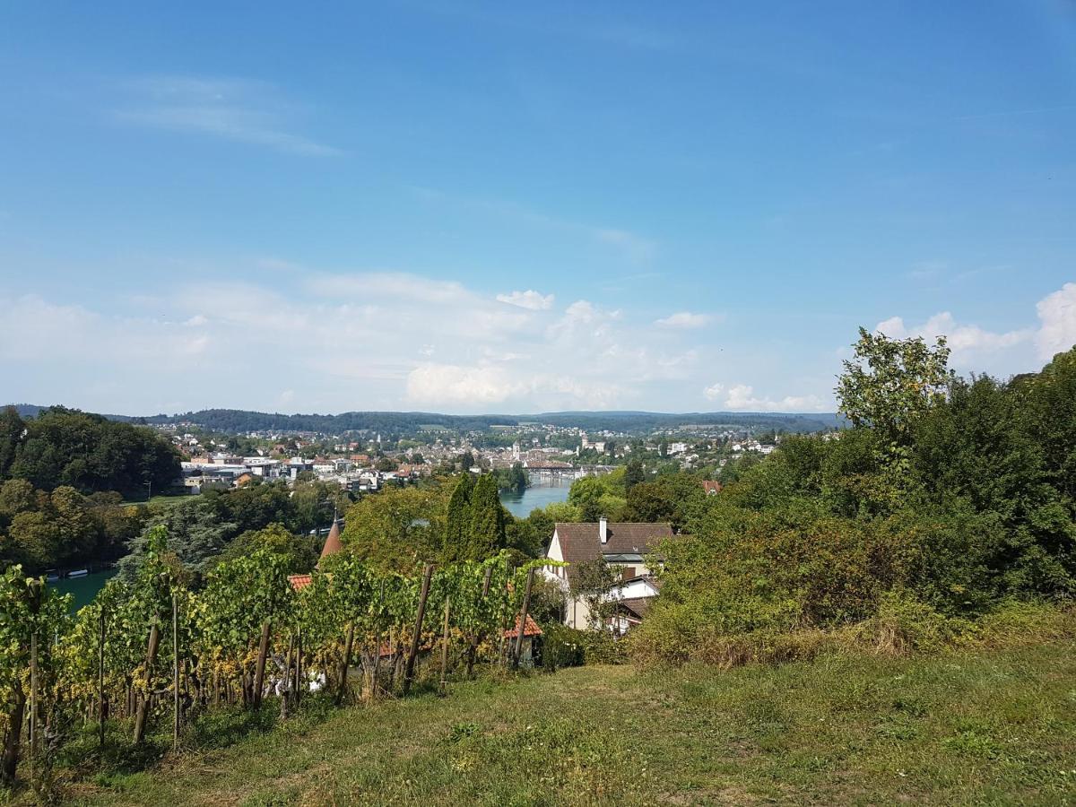 Ferienwohnung Rheinblick In Buesingen -Keine Monteure- Busingen 외부 사진