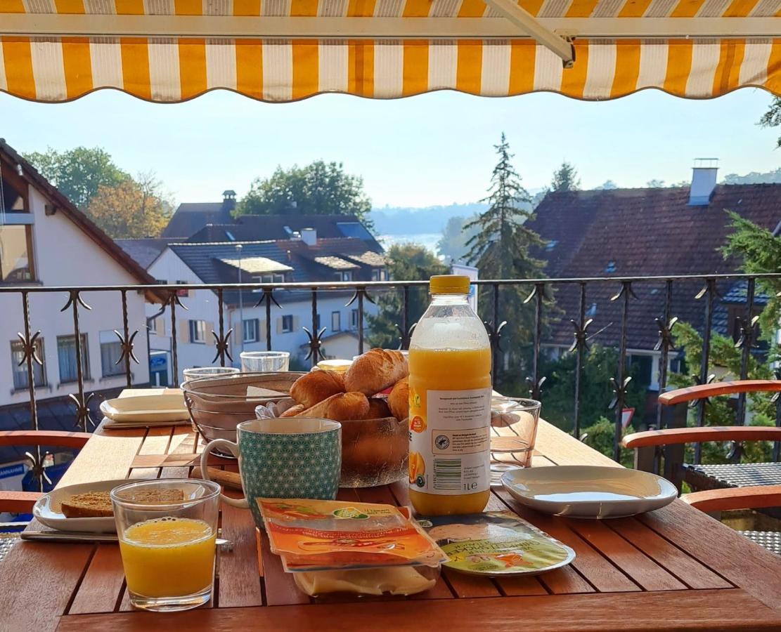 Ferienwohnung Rheinblick In Buesingen -Keine Monteure- Busingen 외부 사진