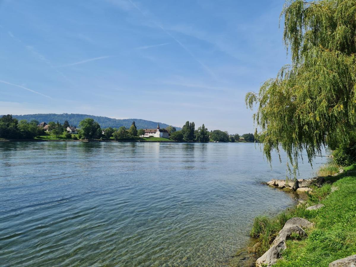 Ferienwohnung Rheinblick In Buesingen -Keine Monteure- Busingen 외부 사진