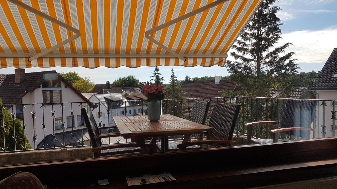 Ferienwohnung Rheinblick In Buesingen -Keine Monteure- Busingen 외부 사진