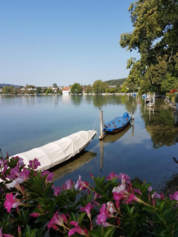 Ferienwohnung Rheinblick In Buesingen -Keine Monteure- Busingen 외부 사진