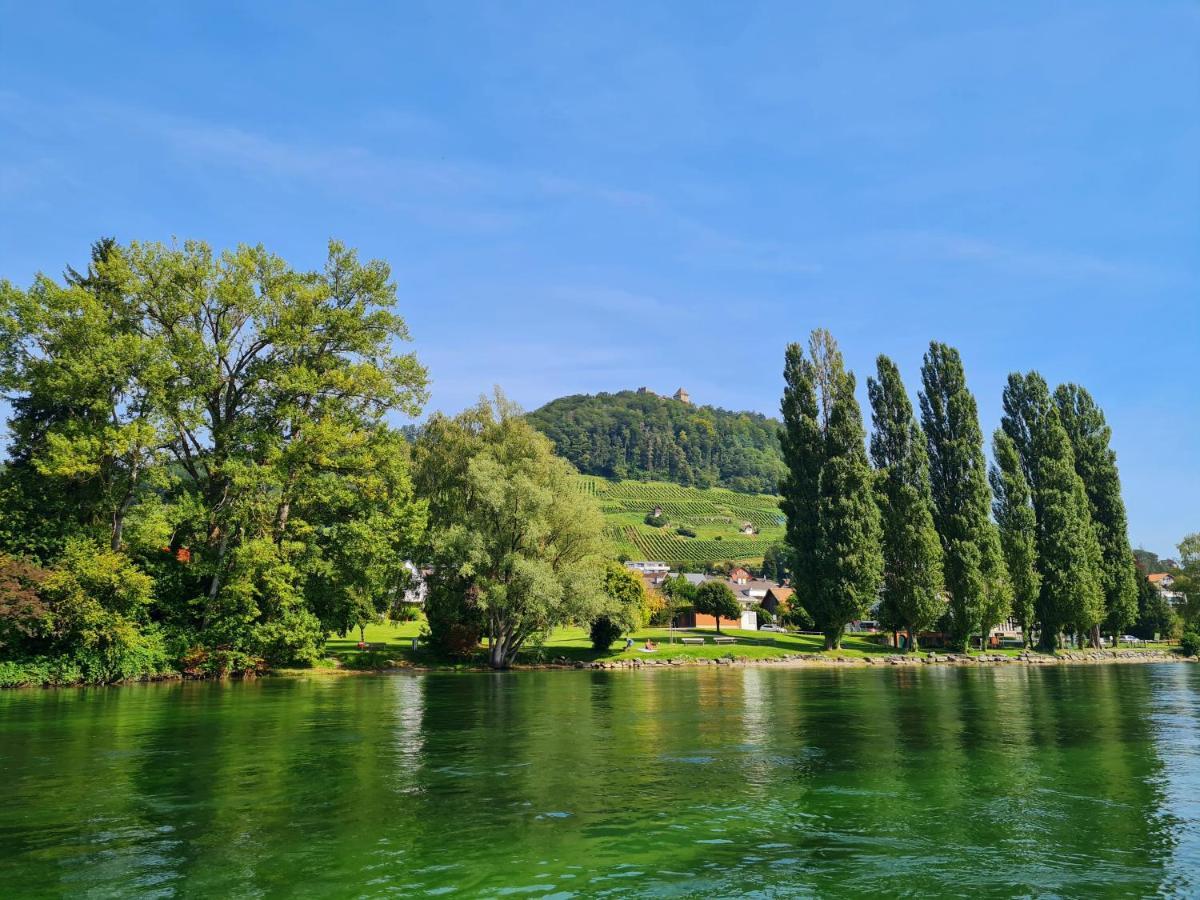 Ferienwohnung Rheinblick In Buesingen -Keine Monteure- Busingen 외부 사진