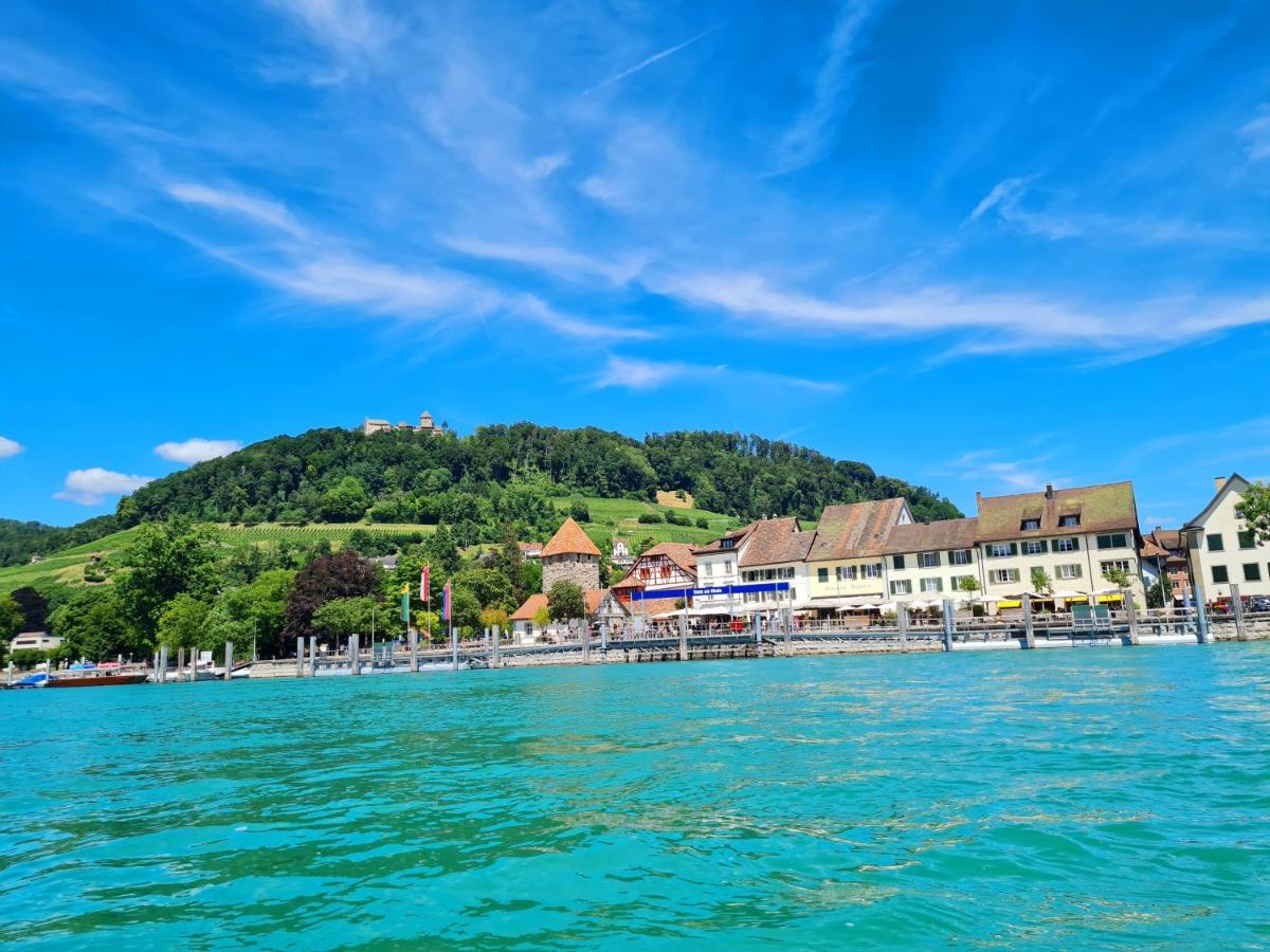 Ferienwohnung Rheinblick In Buesingen -Keine Monteure- Busingen 외부 사진