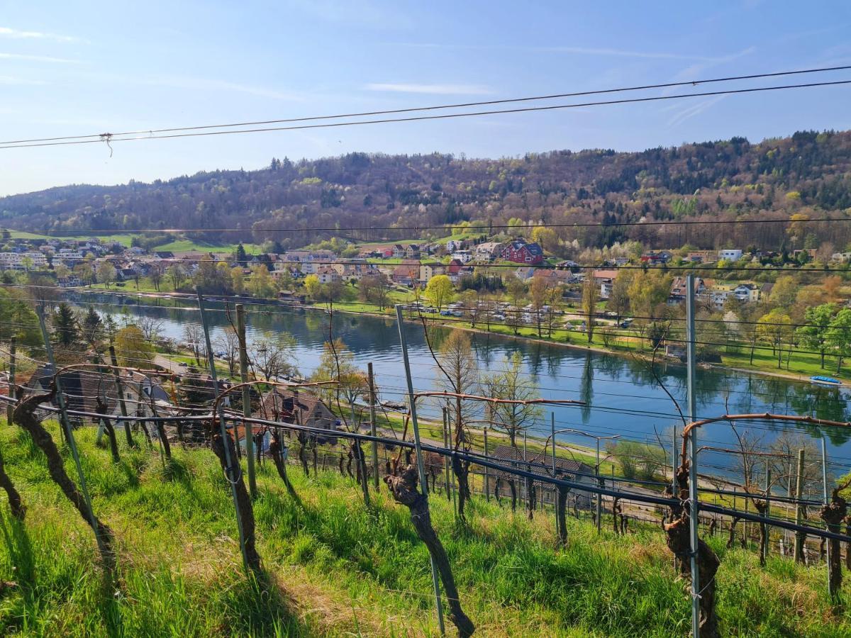 Ferienwohnung Rheinblick In Buesingen -Keine Monteure- Busingen 외부 사진