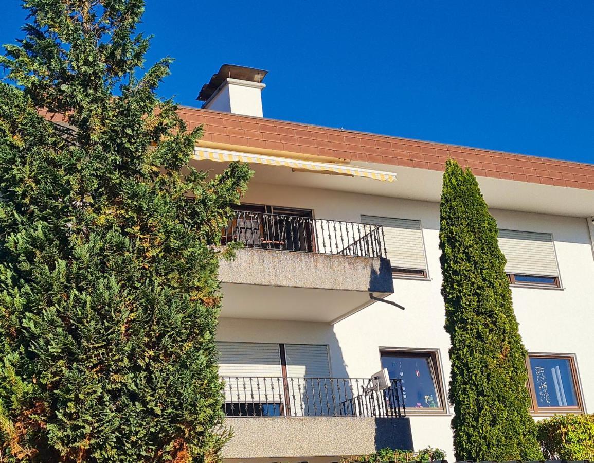 Ferienwohnung Rheinblick In Buesingen -Keine Monteure- Busingen 외부 사진