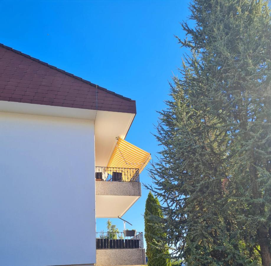 Ferienwohnung Rheinblick In Buesingen -Keine Monteure- Busingen 외부 사진