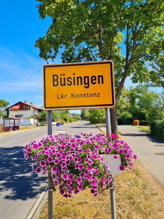 Ferienwohnung Rheinblick In Buesingen -Keine Monteure- Busingen 외부 사진